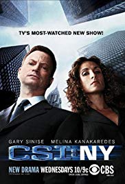 CSI: NY (20042013)