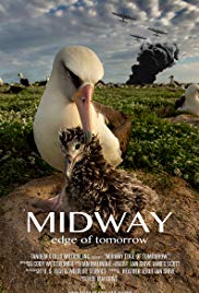 Midway: Edge of Tomorrow (2017)