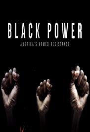 Black Power: Americas Armed Resistance (2016)
