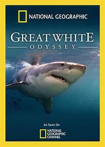 Watch Full Movie :Great White Odyssey (2008)