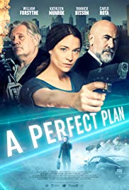 A Perfect Plan (2019)