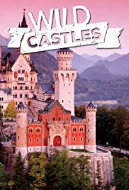 Wild Castles (2017 )