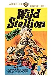 Wild Stallion (1952)
