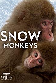 Snow Monkeys (2014)