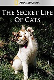 Watch Full Movie :The Secret Life of Cats (2014)