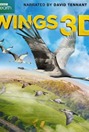 Watch Full Movie :Wings (2014)