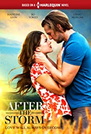 Watch Full Movie :After the Storm (2019)