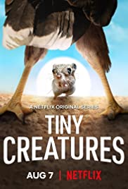 Tiny Creatures (2020 )