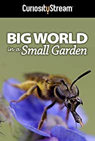 Big World in a Small Garden (2016)