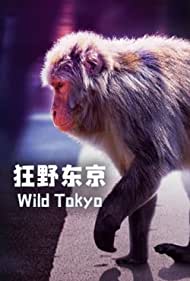 Watch Full Movie :Wild Tokyo (2020)