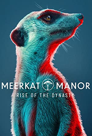 Meerkat Manor: Rise of the Dynasty (2021 )