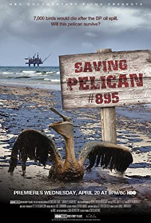 Saving Pelican 895 (2011)
