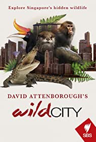 Watch Full Movie :David Attenboroughs Wild City (2016)