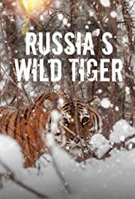 Russias Wild Tiger (2022)