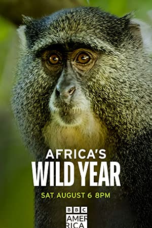 Africas wild year (2021)