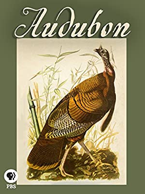 Audubon (2017)