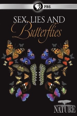Watch Full Movie :Sex, Lies and Butterflies (2018)