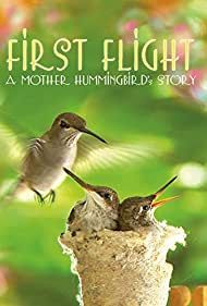 First Flight A Mother Hummingbirds Story (2009)