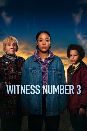 Witness Number 3 (2022-)