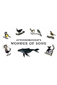 Attenboroughs Wonder of Song (2022)
