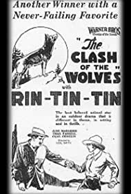 Watch Full Movie :Clash of the Wolves (1925)