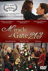 Miracle at Gate 213 (2013)