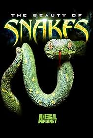 Beauty of Snakes (2003)