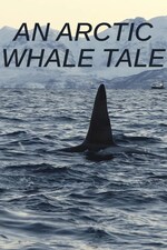 An Arctic Whale Tale (2022)