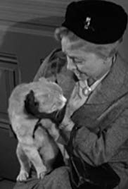 Miss Paisleys Cat (1957)